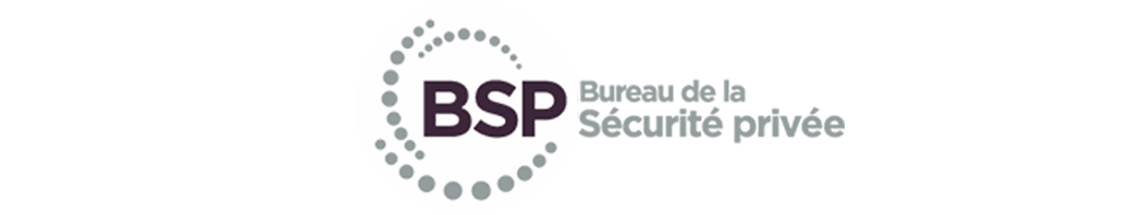 BSP Partner